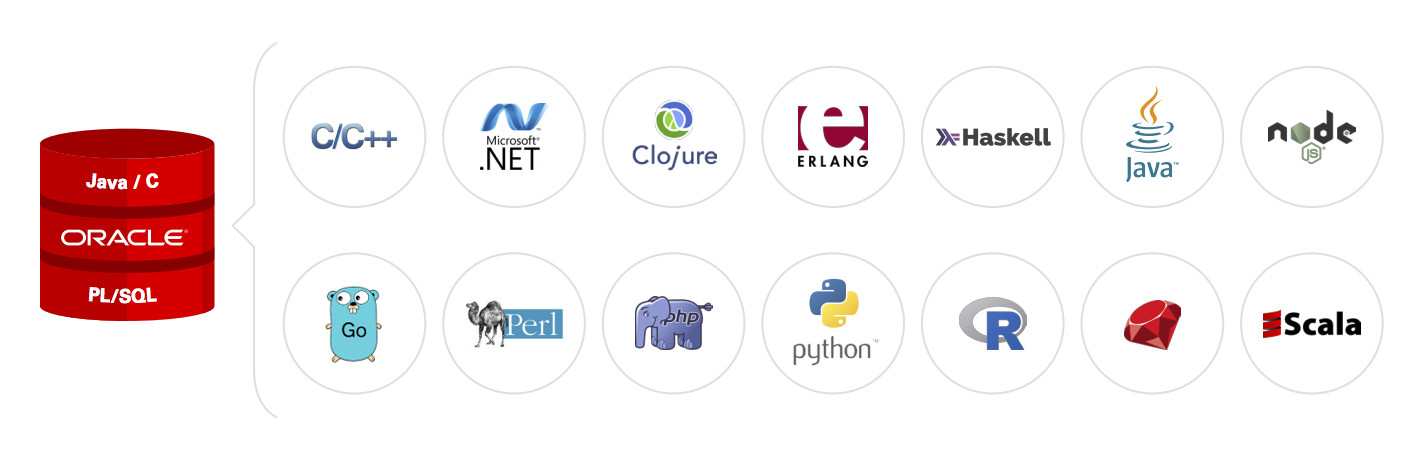 Oracle Database Supported Programming Languages