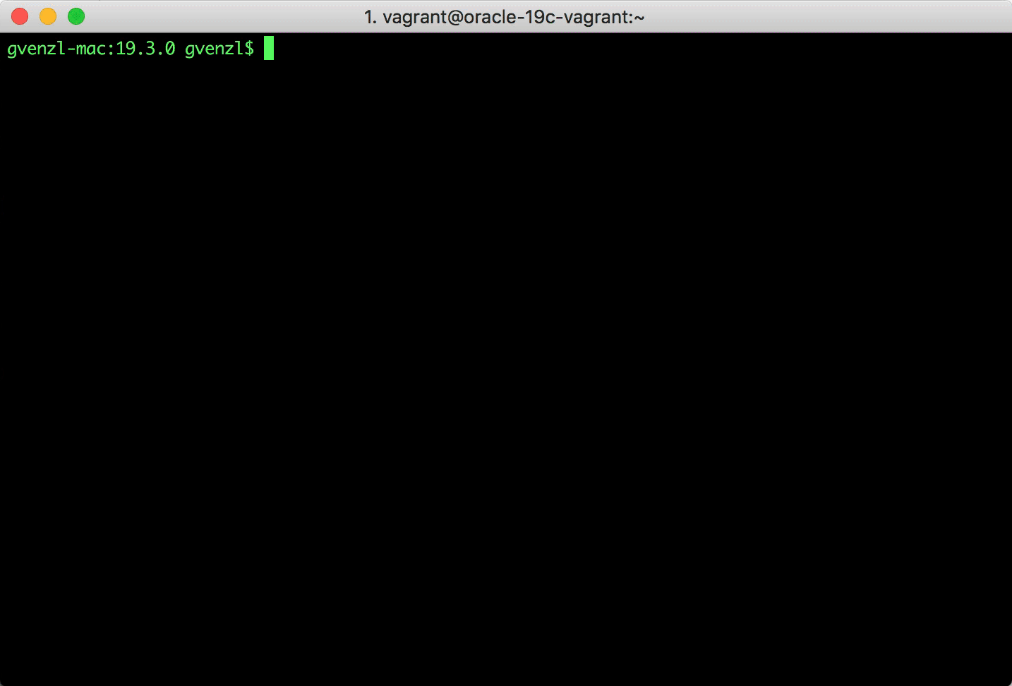 Vagrant start and SQLPlus